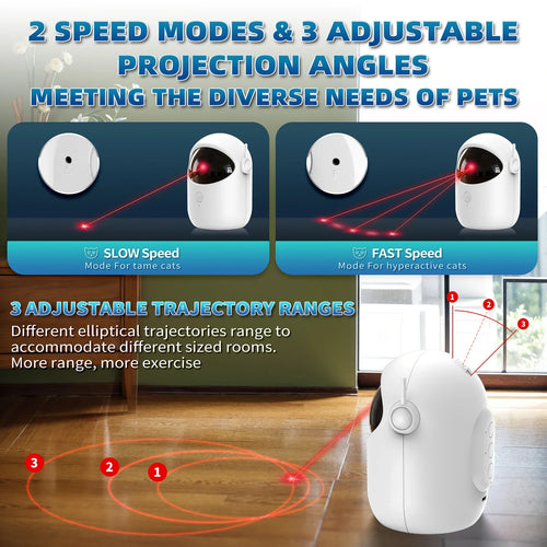 Whisker Laser Fun