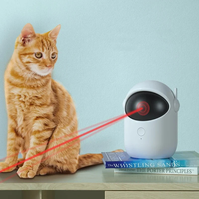 Whisker Laser Fun